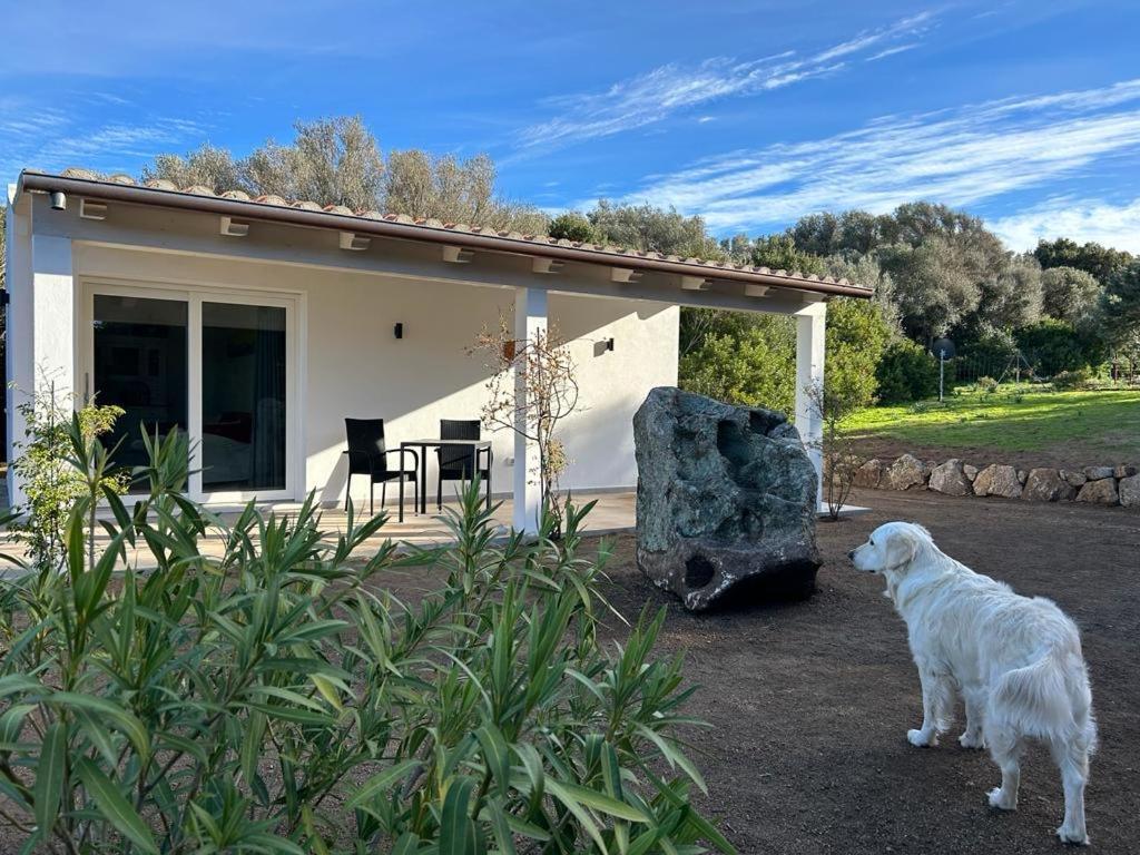 La Piana Holiday House Bassacutena Exteriör bild